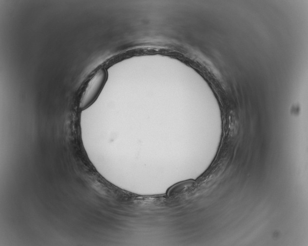 X0000116881352201001121314