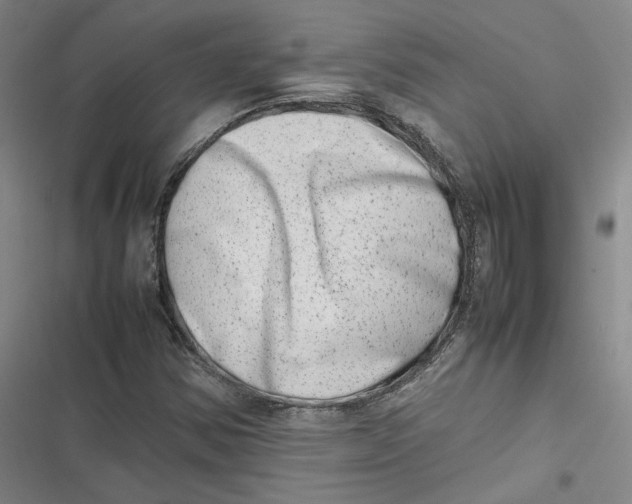 X0000116881354201001121314
