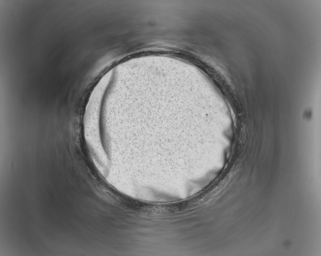 X0000116881355201001121314