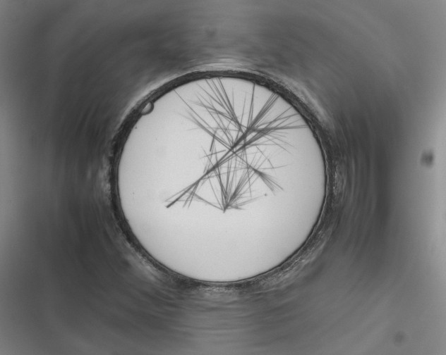 X0000116881356201001121314