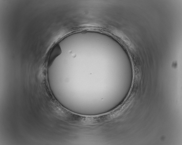 X0000116881357201001121314