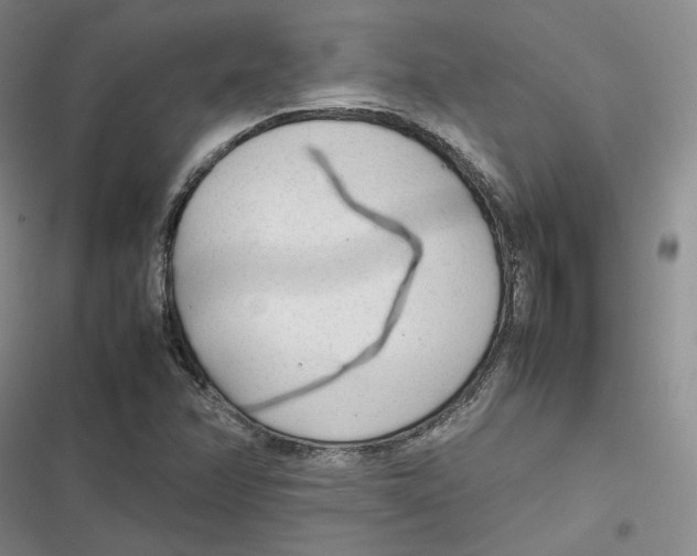 X0000116881358201001121314