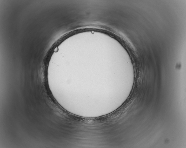 X0000116881360201001121314