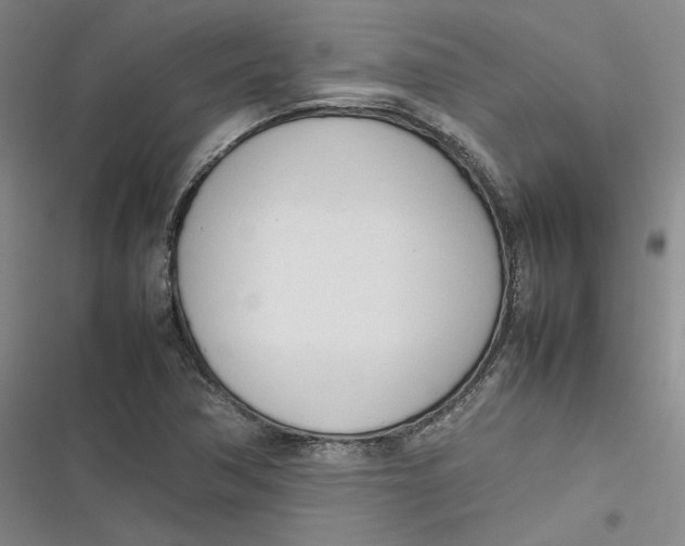 X0000116881362201001121314