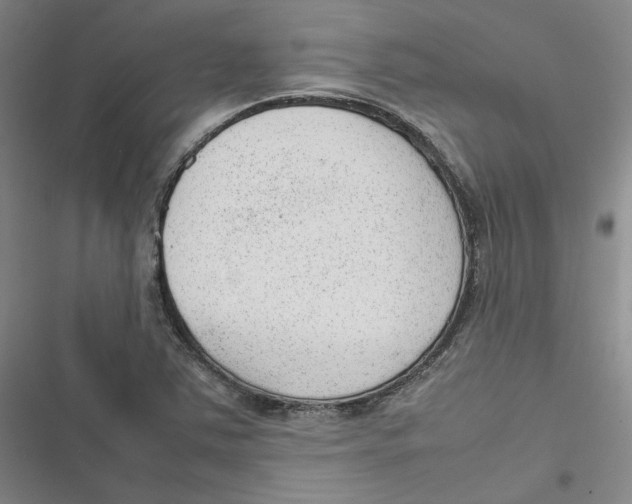 X0000116881363201001121314