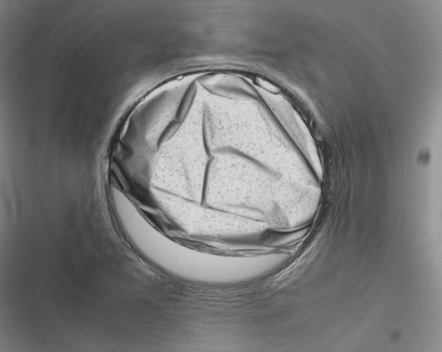 X0000116881365201001121314