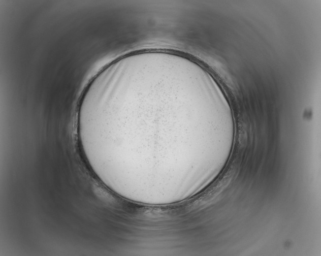 X0000116881366201001121314