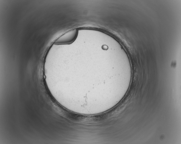 X0000116881367201001121314