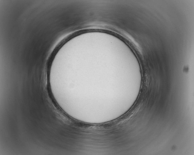 X0000116881368201001121314