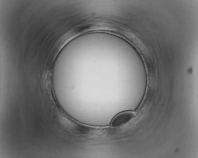 X0000116881369201001121314