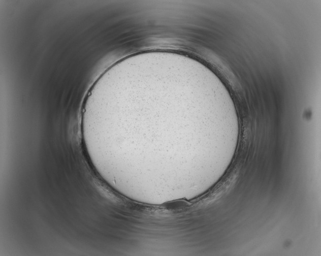 X0000116881370201001121314