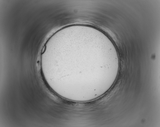 X0000116881371201001121314