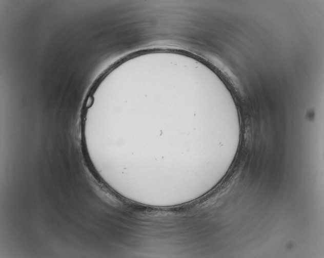 X0000116881372201001121314