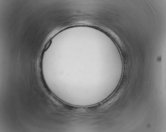 X0000116881373201001121313
