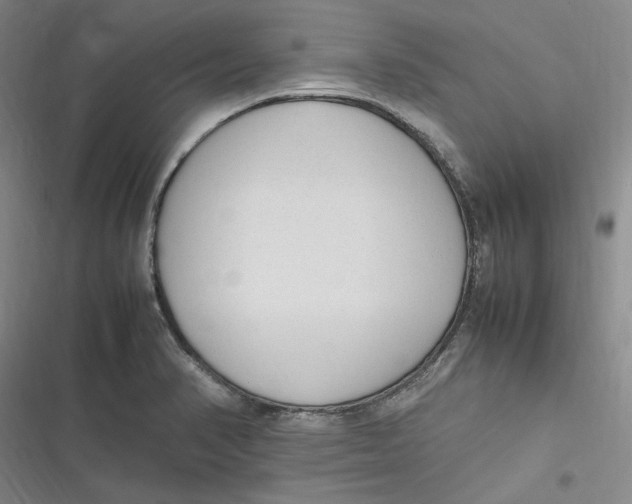 X0000116881374201001121313