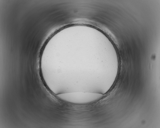 X0000116881376201001121313