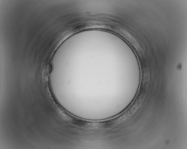 X0000116881377201001121313