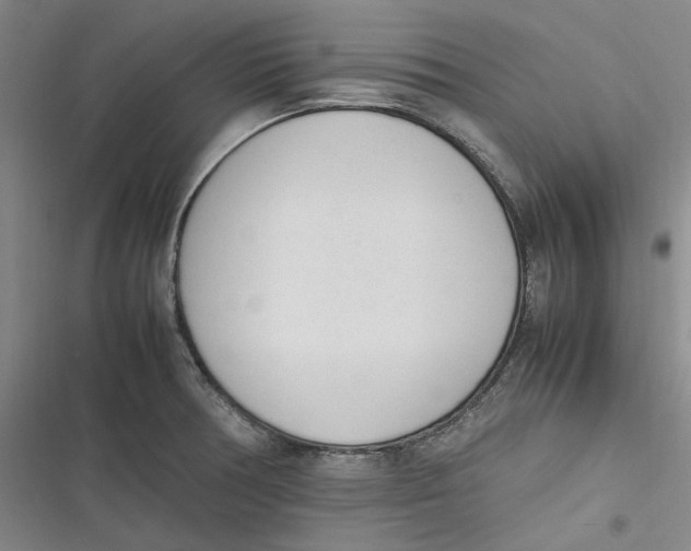 X0000116881378201001121313