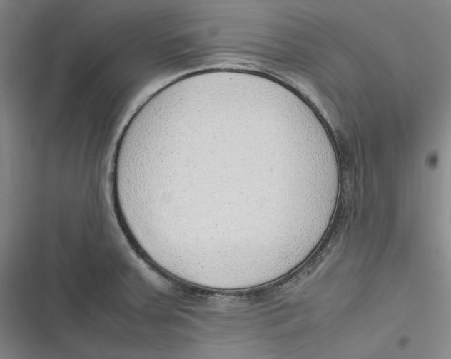 X0000116881379201001121313