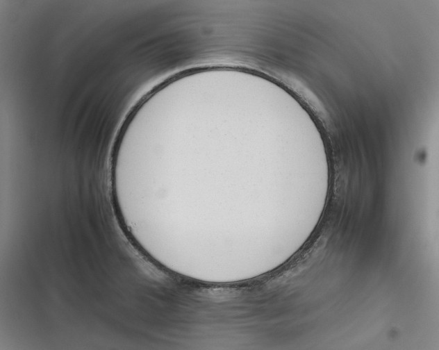 X0000116881380201001121313