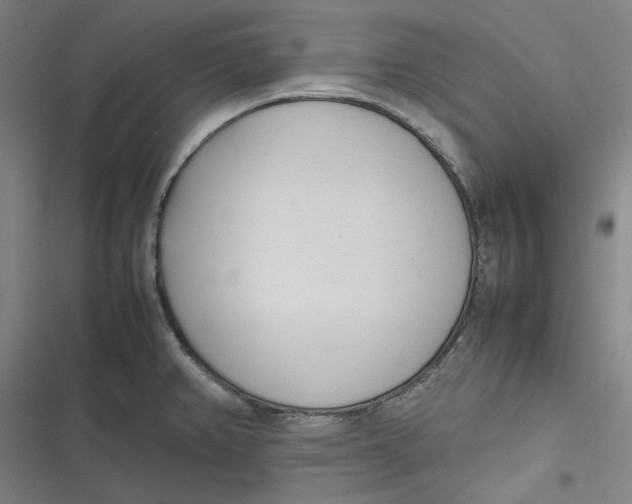 X0000116881382201001121313