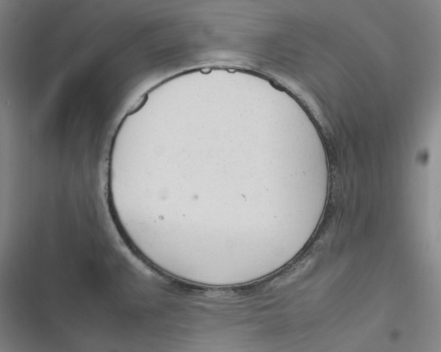 X0000116881383201001121313