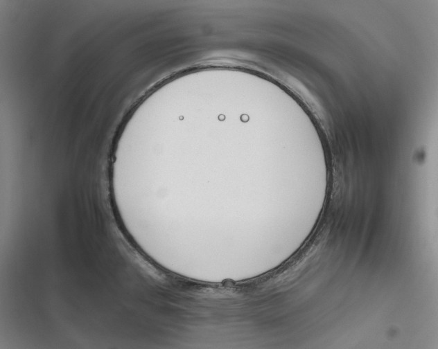 X0000116881384201001121313