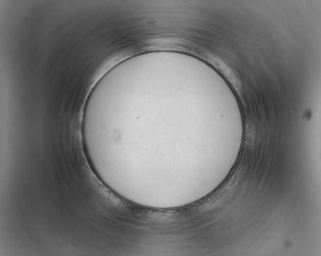 X0000116881386201001121313