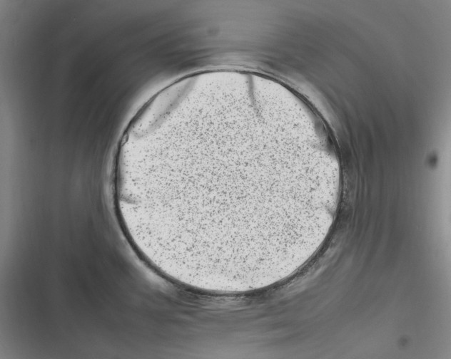 X0000116881387201001121313