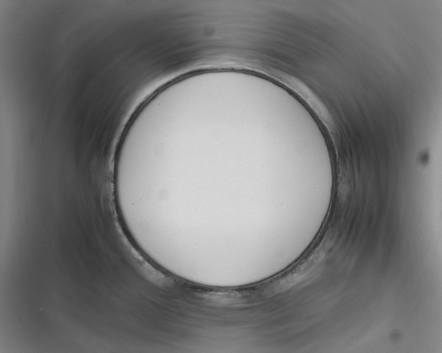 X0000116881388201001121313