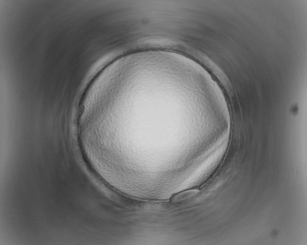 X0000116881389201001121313