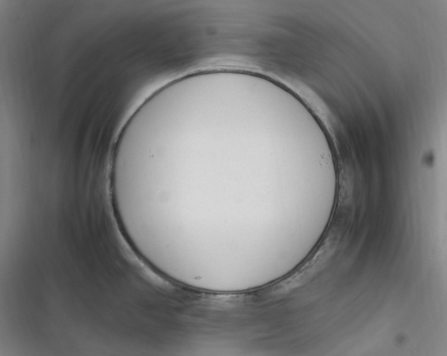X0000116881390201001121313