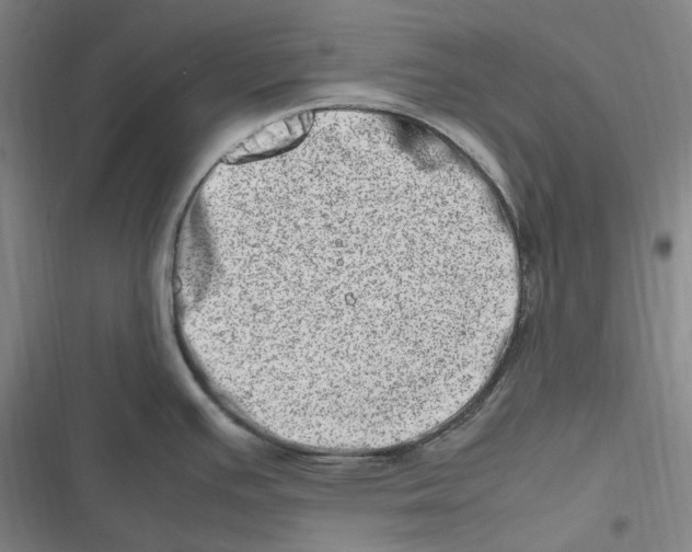 X0000116881391201001121313