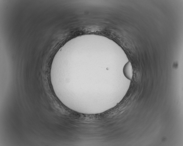 X0000116881393201001121313