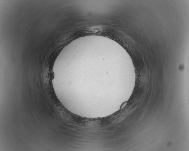 X0000116881394201001121313