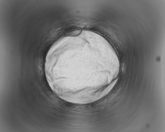 X0000116881396201001121313