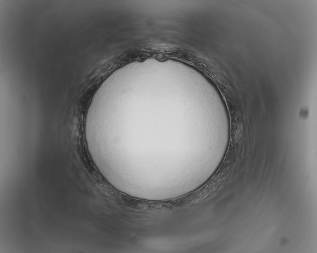 X0000116881397201001121313