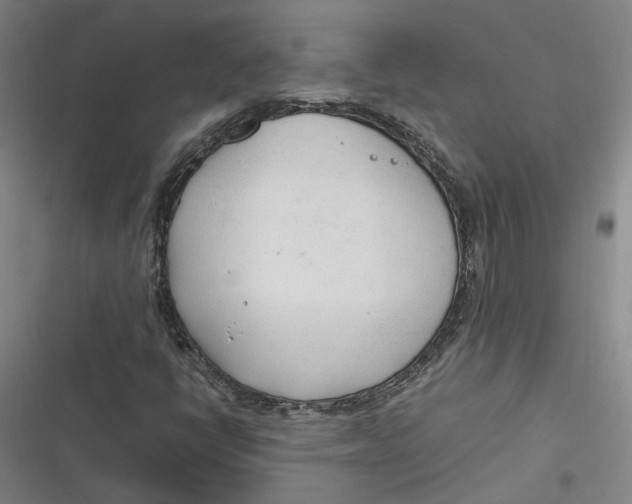 X0000116881398201001121313