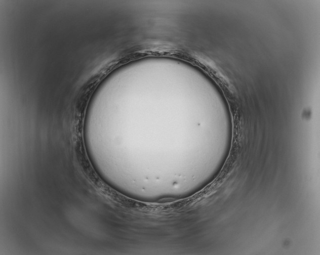 X0000116881399201001121313