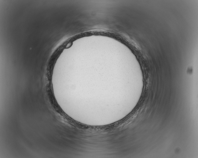 X0000116881400201001121313