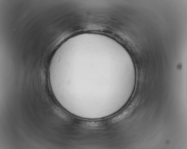 X0000116881401201001121313