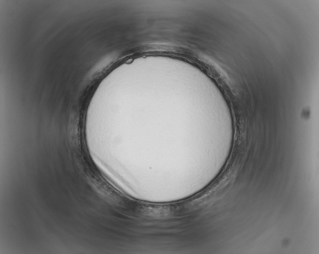 X0000116881403201001121313