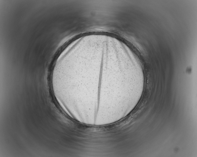 X0000116881404201001121313
