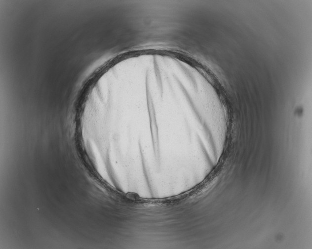 X0000116881406201001121313