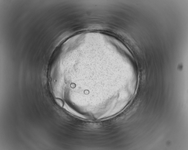 X0000116881409201001121313