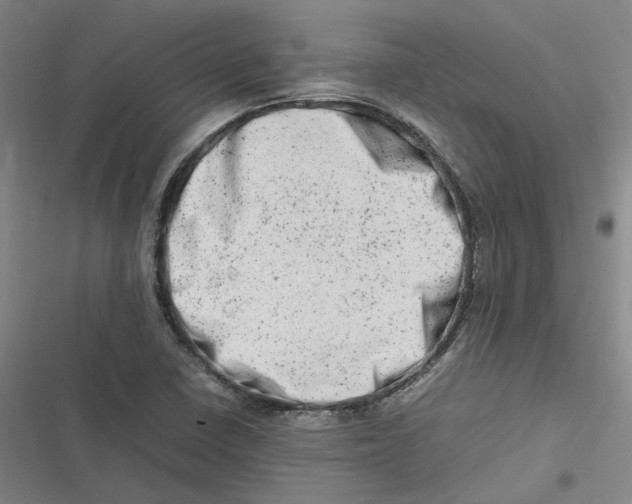 X0000116881410201001121313