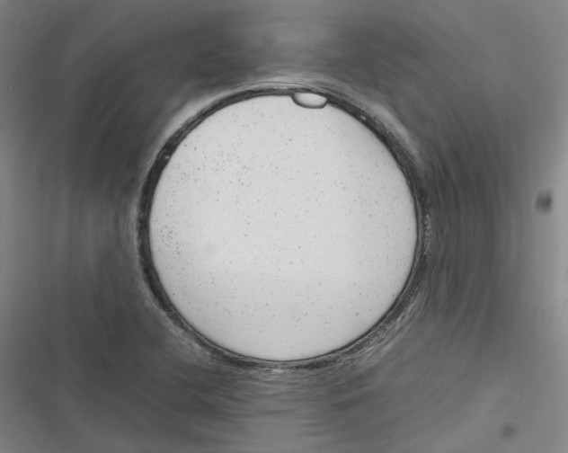 X0000116881412201001121313