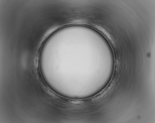 X0000116881413201001121313