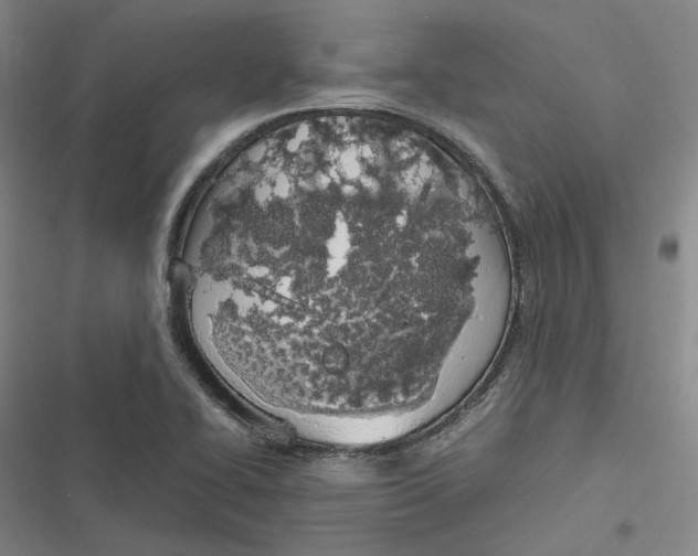 X0000116881414201001121313