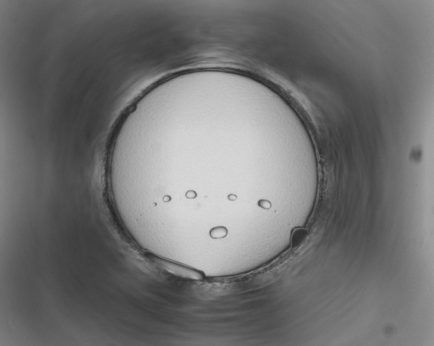 X0000116881415201001121313